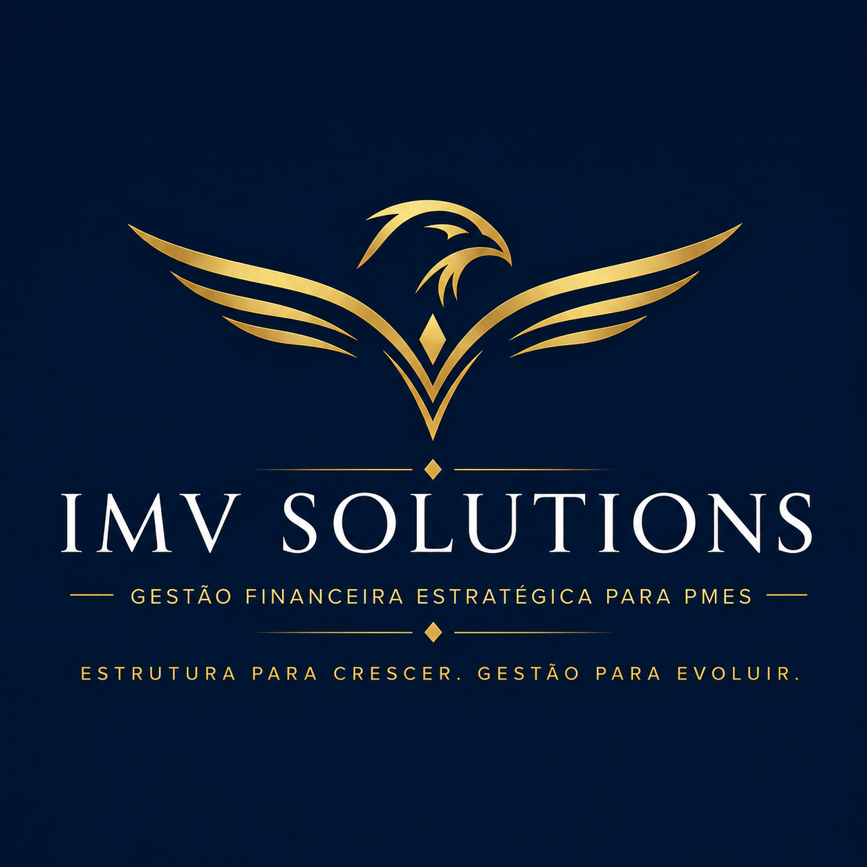 IMV Solutions — Gestão Financeira Estratégica para PMEs